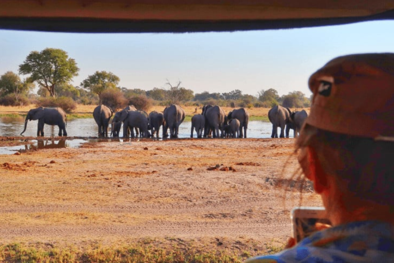 The Best Botswana Safaris – 3 Incredible Itineraries